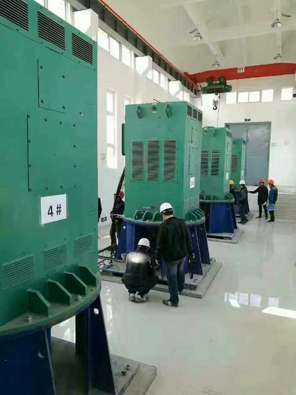 邵原镇某污水处理厂使用我厂的立式高压电机安装现场